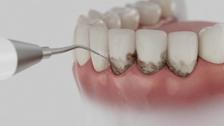 Reliable Dental contractor in Ludowici, GA by Dentist Open Now